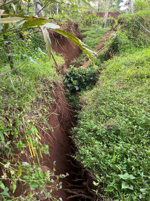 Tanah Bergerak di Desa Tegalsari Kecamatan Bruno